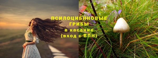 дмт Богородицк