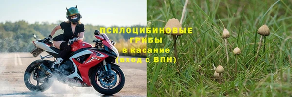 кокс Богданович