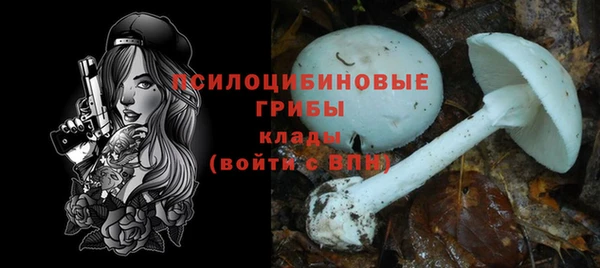 метадон Богородск