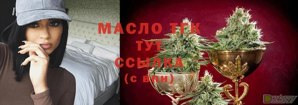дмт Богородицк